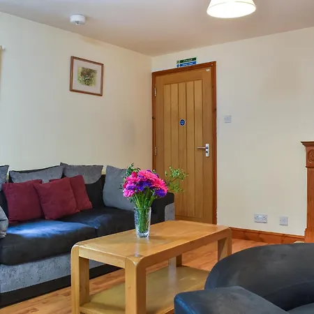 Beech - Uk49564 Sneaton