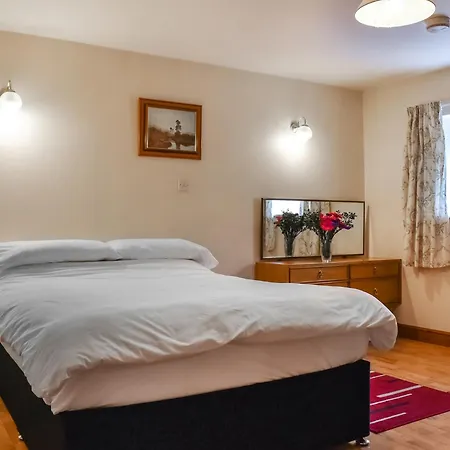 Beech - Uk49564 Sneaton