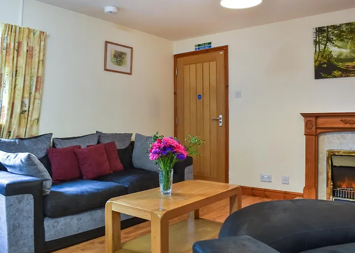 Beech - Uk49564 Sneaton